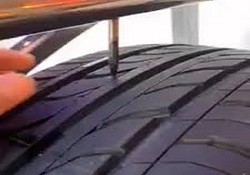 تولید محلول بهبود دهنده رشد قارچ خوراکی نخستین بار در کشور + فیلم