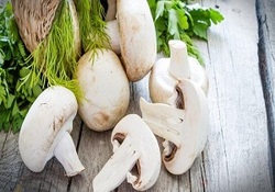 تولید نانوداروی سرطان، توسط پزشکان ایرانی + فیلم