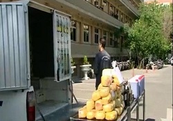عاقبت رها کردن خودرو در پارک جنگلی + فیلم