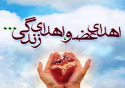 عمر جاودانه بیماران مرگ مغزی با اهدای عضو + فیلم
