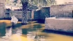 سیل بندهایی که نتوانستند شهر را نجات دهند + فیلم