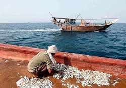 بخش خبری مجله خبری مورخ ۱۸ خرداد ماه ۹۸ + فیلم