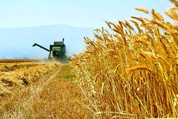 بخش خبری با خبرنگاران جوان مورخ ۳۰ خرداد ۱۳۹۸ + فیلم
