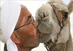 ویدئوی قلابی سعودی‌ها برای اتهام زنی به ایران