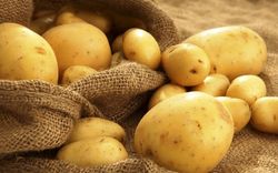 دلال‌ها؛ متهمان اصلی بازار گوشت + فیلم