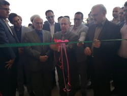 وزیر بهداشت: آبروی مملکت را به خاطر یک بالشت نبرید! + فیلم
