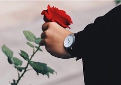 اولین بانوی شهید در راه اسلام + فیلم