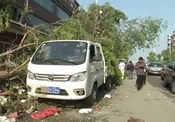 حادثه هنگام پایین آمدن دوچرخه سواران از کوه آلپ + فیلم