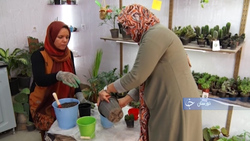 تبدیل سنگ‌های معدنی قیمتی به جواهراتی زیبا در یک کارگاه گوهر تراشی + فیلم