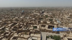 استقبال کشاورزان یزدی از کشت نشایی + فیلم