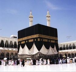 آمار تعداد پخت غذا برای حجاج + فیلم