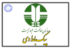 فرو ریختن سد در سیبری با ۱۵ کشته + فیلم