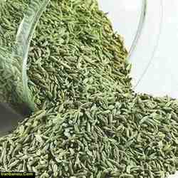 خواص گیاه رازیانه + فیلم