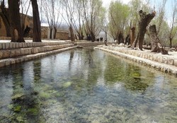 خدمات یک گروهی جهادی دندانپزشکی در لرستان + فیلم