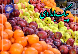 کشت بوته تمشک به روشی جدید که بسیاری از مشکلات برداشت و پرورش را رفع کرده است + فیلم