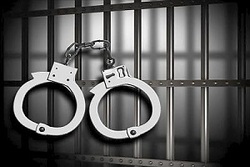 کشت ۱۰۰ هکتار طلای سرخ در رباط کریم + فیلم