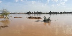 مدرن‌سازی فرهنگی سنتی که جلوی هدررفت سرمایه ملی را می‌گیرد + فیلم