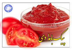 پس از مرغ و لبنیات، قیمت گوجه هم پرواز کرد + فیلم
