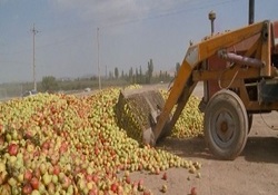 داغ شدن بازار سیاه خودرو به کمک فضای مجازی + فیلم