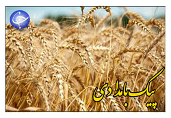 درخشش تولیدات داخلی در پانزدهمین نمایشگاه صنعت آب و فاضلاب + فیلم