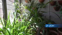 جای خالی نمایشگاه دائمی برای صنایع دستی + فیلم
