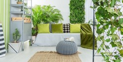 گیاهان پر آب و کم آب رو بشناسید + فیلم