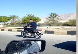 مسابقه بیش از ۸۰۰ شتر در مصر + فیلم