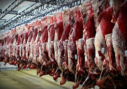 بازار کالای اساسی زیر ذره بین + فیلم
