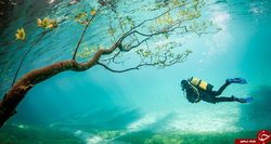 تصاویری شگفت‌انگیز و جالب از دنیای زیر آب