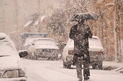 برف و باران در نیمه جنوبیِ کشور + فیلم