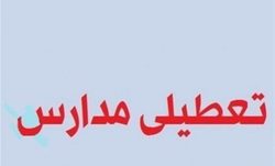بیانیه وزارت اطلاعات درباره مسمومیت دانش آموزان + فیلم