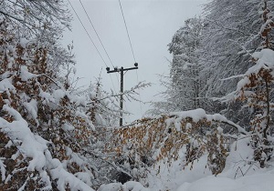قطع راه ارتباطی ۶۵۰۰ روستا در شهرستان های دلفان و الیگودرز/تعطیلی مدارس دلفان/ امدادرسانی به ۱۸۰ نفر در برف و کولاک