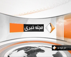 قفس‌هایی در دل شالیزار برای پرورش ماهی + فیلم