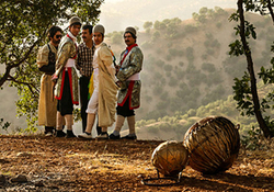 آیا می‌توان قارچ سمی را از روی ظاهر تشخیص داد؟ + فیلم