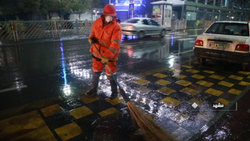 بازدید اختصاصی پنگوئن‌ها از آکواریوم مسکو + فیلم