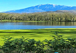 کشتی گردشگری در تلاطم دریای طوفانی + فیلم