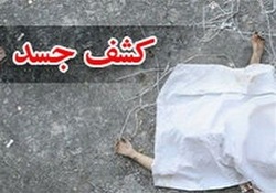 دستگیری چهار زورگیر در تهران + فیلم