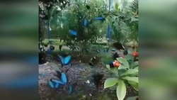 پدیده نادر زمین شناسی در ایران + فیلم
