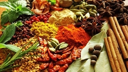 هرگونه شایعه درباره واکسن کرونای روسی خیانت ملی است! + فیلم