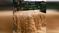 شهر صورتی در هند + فیلم