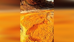 نمایی فوق العاده دیدنی از بام دنیا + فیلم