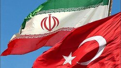خرید روغن با لیوان یکبار مصرف در ترکیه + فیلم