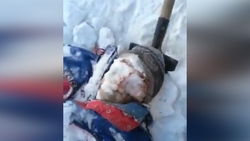 فرار جالب و حیرت انگیز یک مجرم از دست پلیس + فیلم