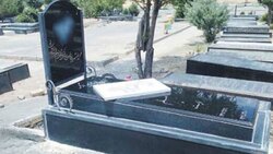 سهراب و محیط زیست  + فیلم