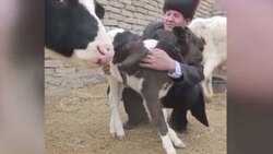 به دنیا آمدن توله سگ سبز رنگ در ایتالیا! + فیلم