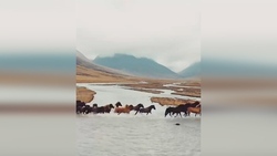 نمایش هوایی بسیار دیدنی در آسمان پایتخت ایرلند + فیلم