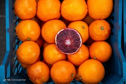 لحظه سال تحویل ۱۴۰۰ - گلزار شهدای اردکان‎