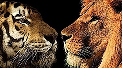 تصاویری هیجان انگیز از یک باغ وحش با قابلیت واقعیت افزوده