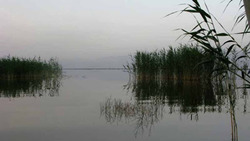 پس از یک دهه آب به بندر شرفخانه رسید + فیلم