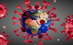 آمار شیوع کرونا در کلانشهر تهران + فیلم